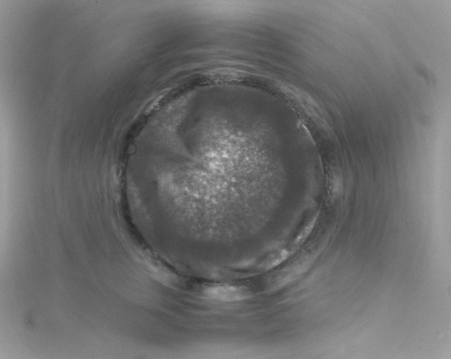 X0000115510759200911271430