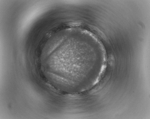 X0000115510763200911271430