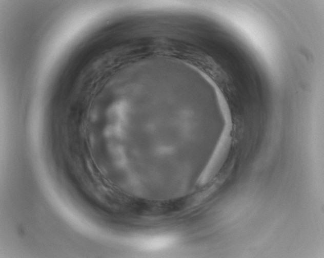 X0000115510765200911271430