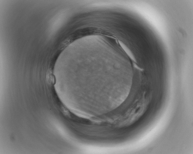 X0000115510766200911271430