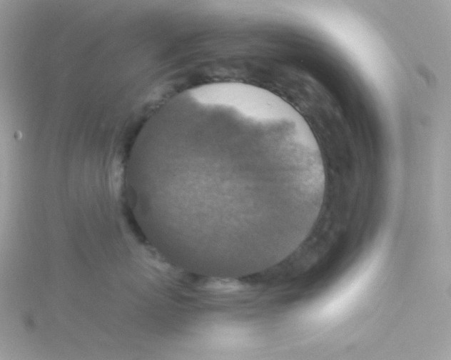 X0000115510767200911271430