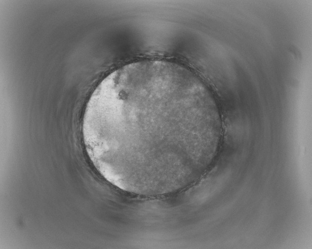 X0000115510769200911271430