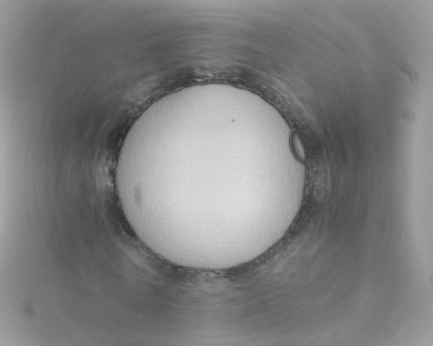 X0000115510770200911271430