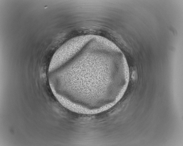 X0000115510771200911271430