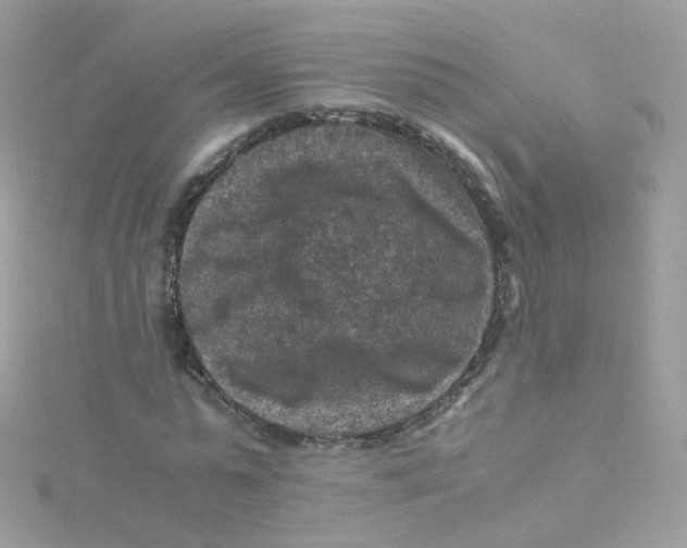 X0000115510775200911271430