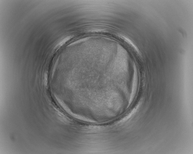 X0000115510777200911271430