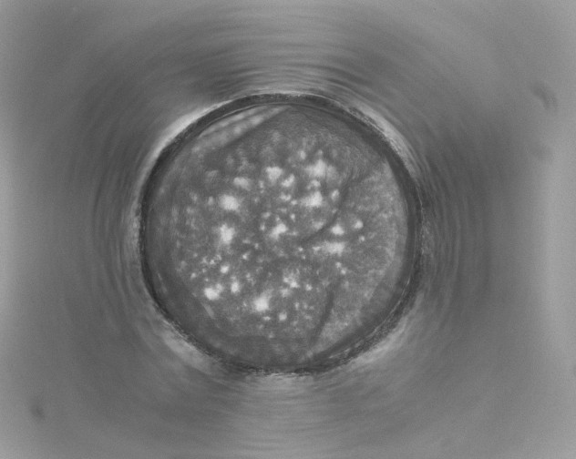 X0000115510779200911271430