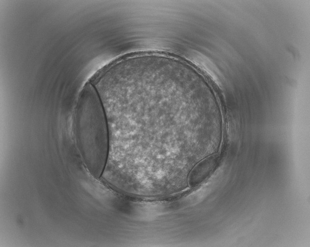 X0000115510781200911271430