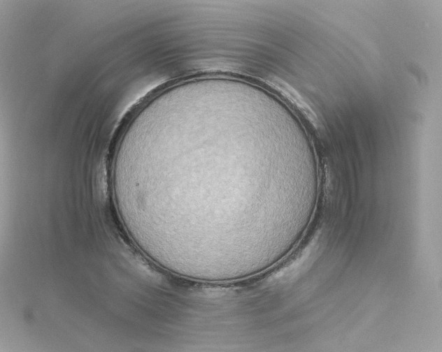 X0000115510782200911271430