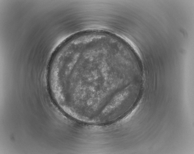 X0000115510783200911271430