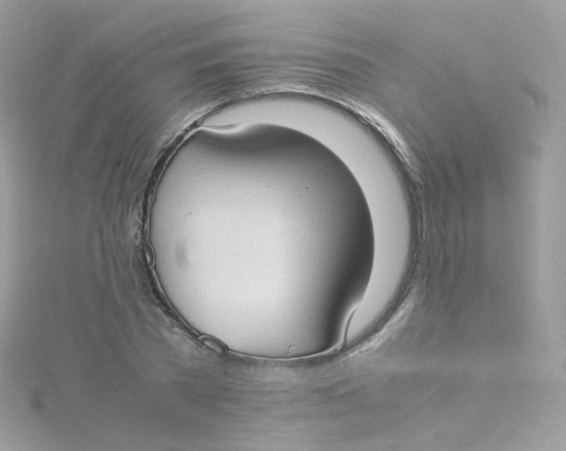 X0000115510785200911271430