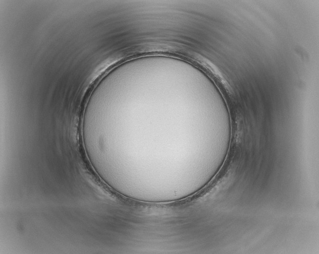 X0000115510786200911271430