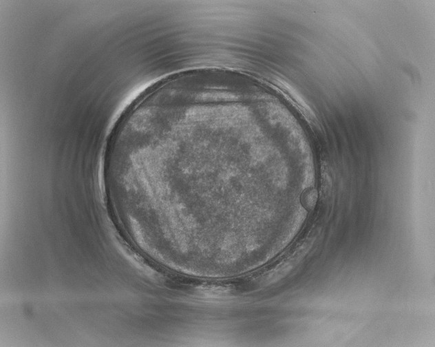 X0000115510788200911271430