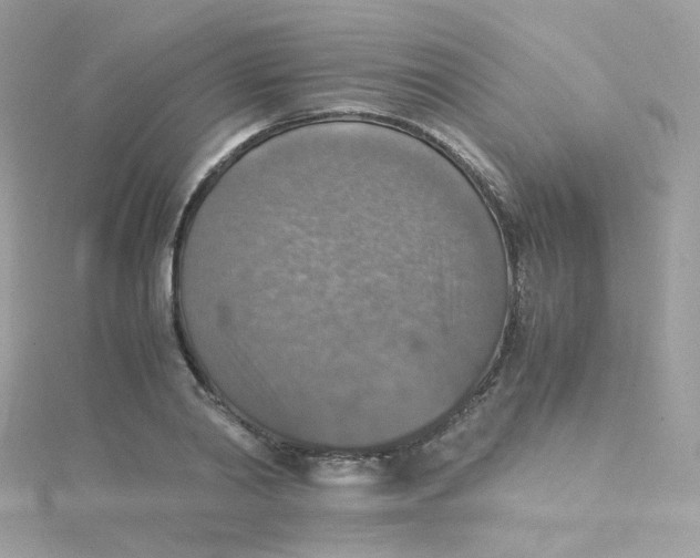 X0000115510790200911271430