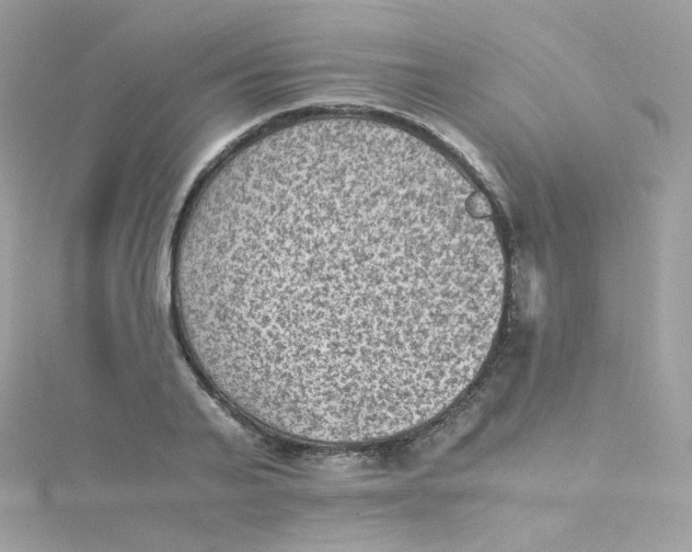 X0000115510791200911271430