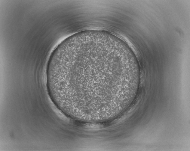 X0000115510795200911271430