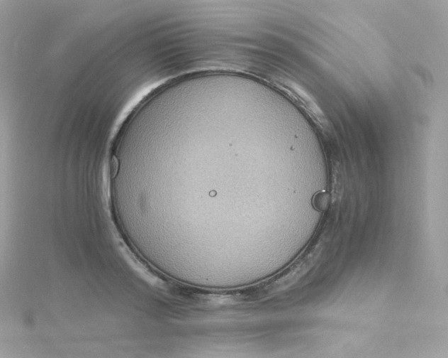 X0000115510796200911271430