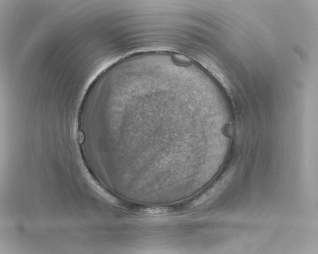 X0000115510797200911271430