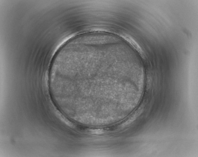 X0000115510798200911271430