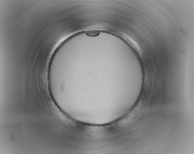 X0000115510800200911271429