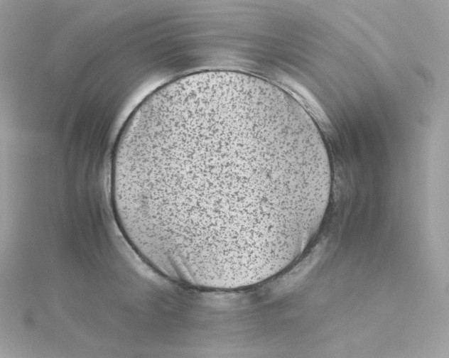 X0000115510804200911271429