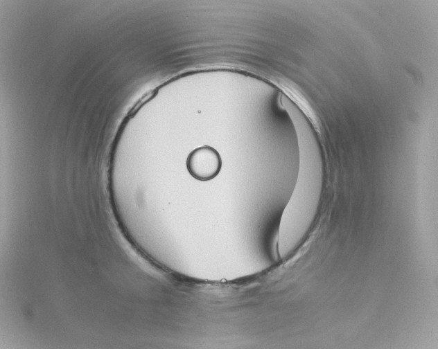 X0000115510805200911271429