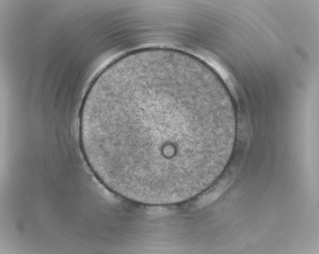 X0000115510807200911271429