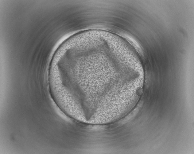 X0000115510808200911271429