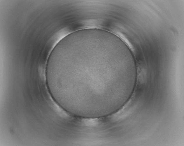 X0000115510810200911271429