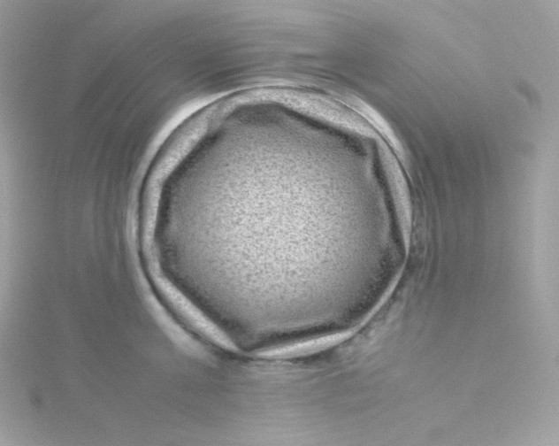 X0000115510811200911271429