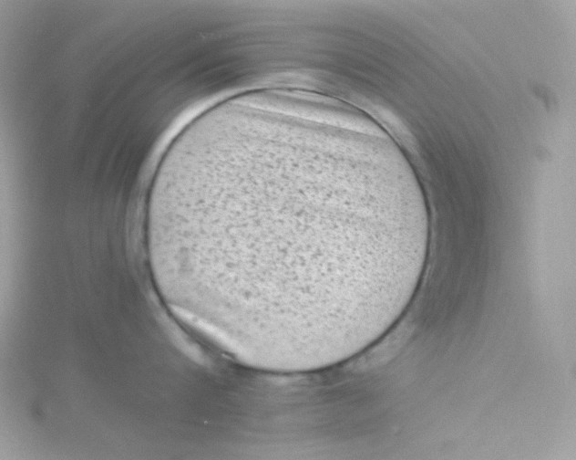 X0000115510816200911271429