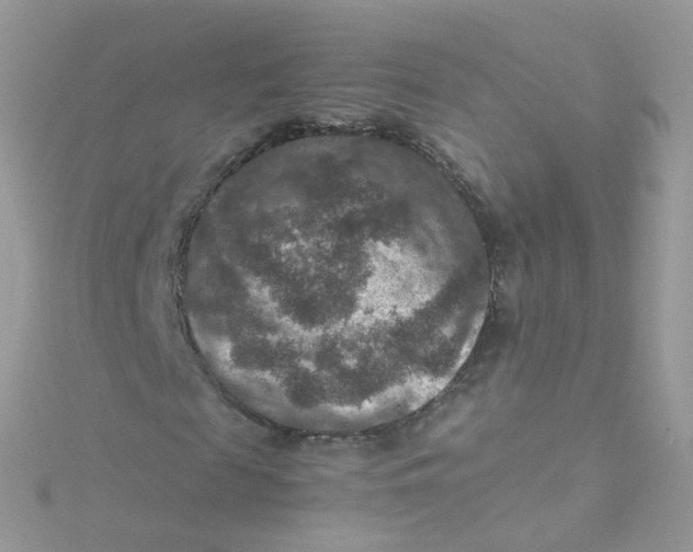 X0000115510817200911271429