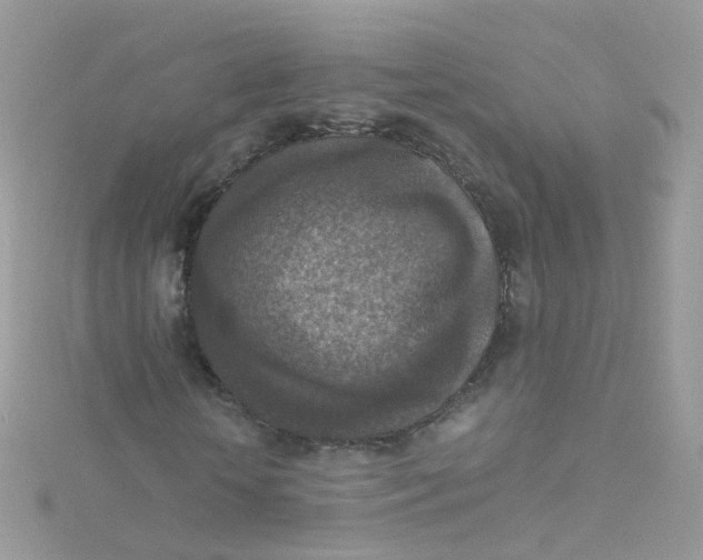 X0000115510818200911271429