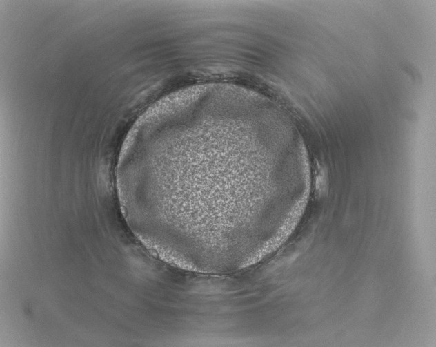 X0000115510819200911271429