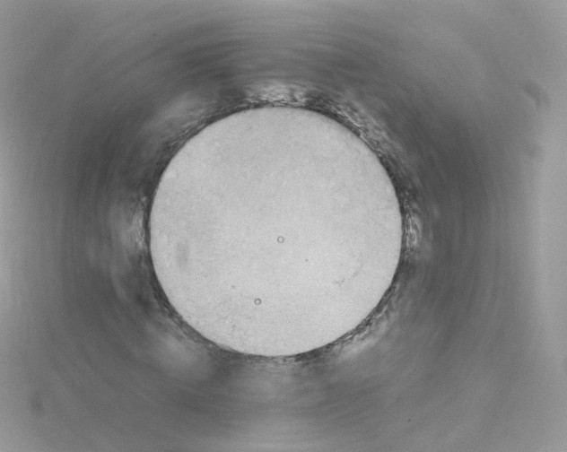 X0000115510820200911271429