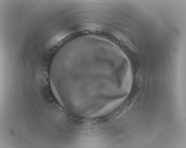 X0000115510822200911271429