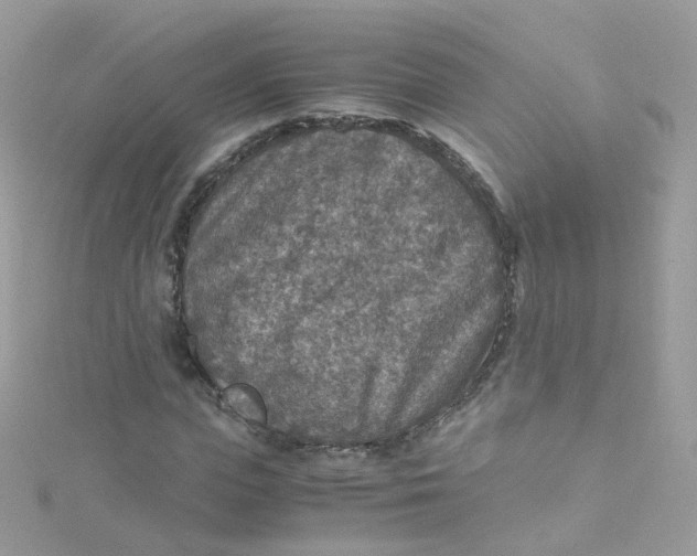 X0000115510823200911271429