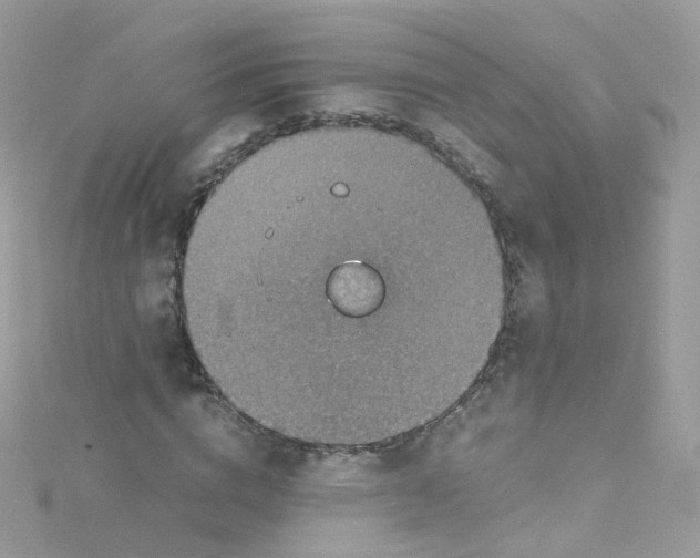 X0000115510824200911271429