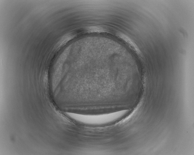 X0000115510825200911271429