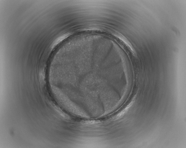 X0000115510826200911271429