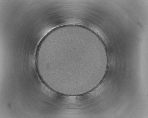 X0000115510828200911271429