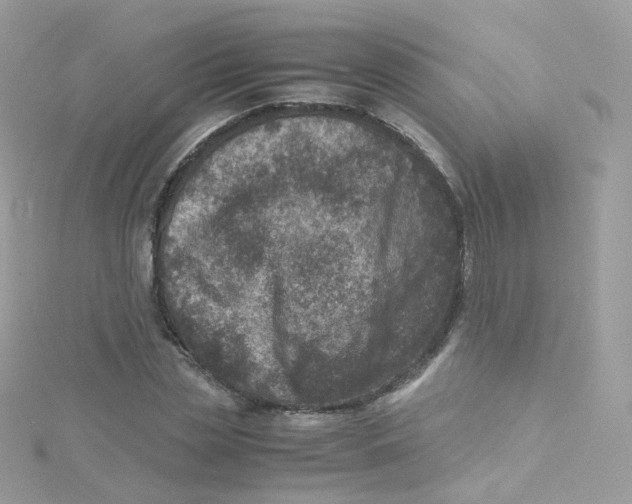 X0000115510829200911271429