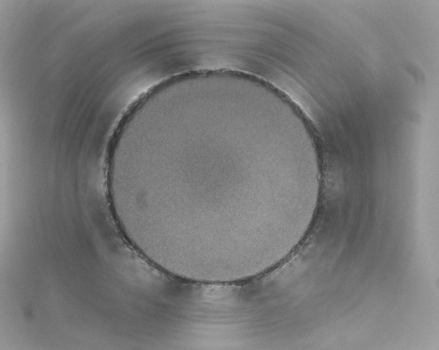 X0000115510832200911271429