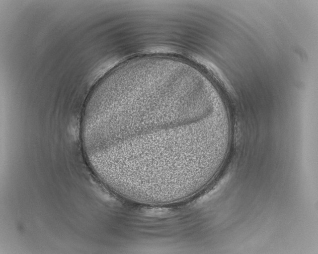 X0000115510833200911271429