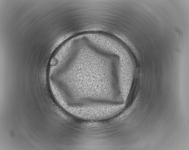 X0000115510834200911271429