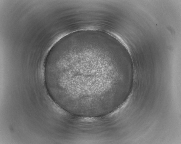 X0000115510835200911271429