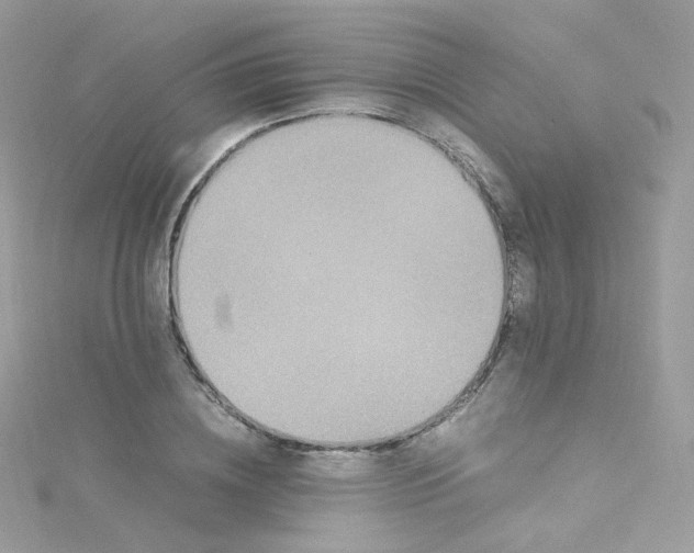 X0000115510836200911271429