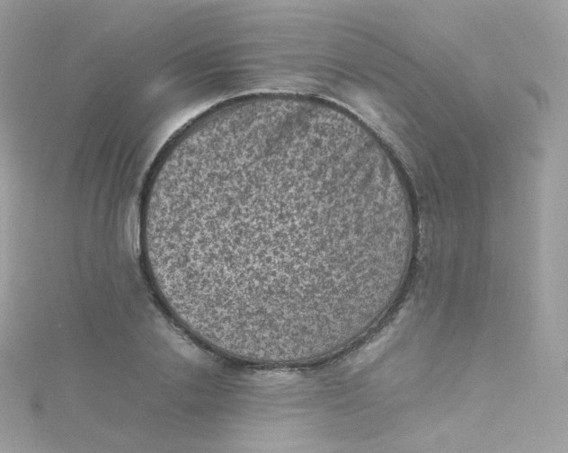 X0000115510838200911271429