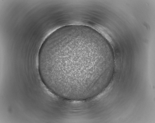 X0000115510839200911271429