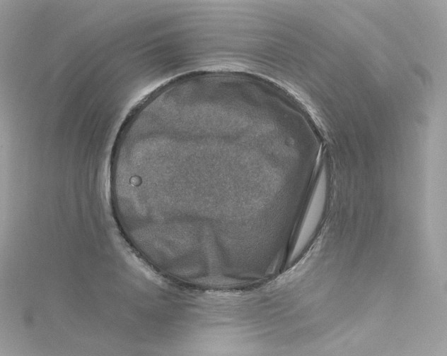 X0000115510840200911271429